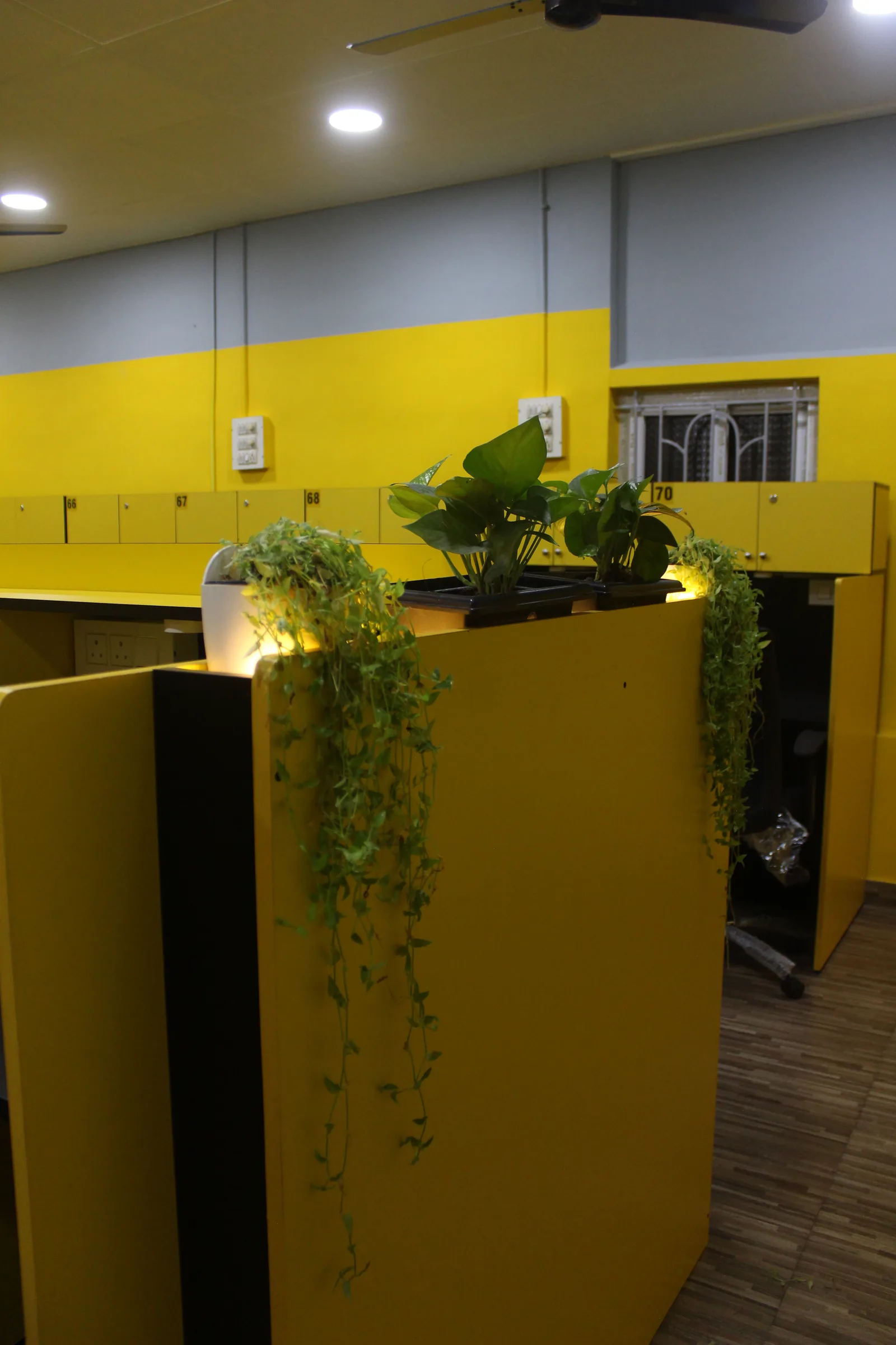 Study cabins at Perfect Study Space