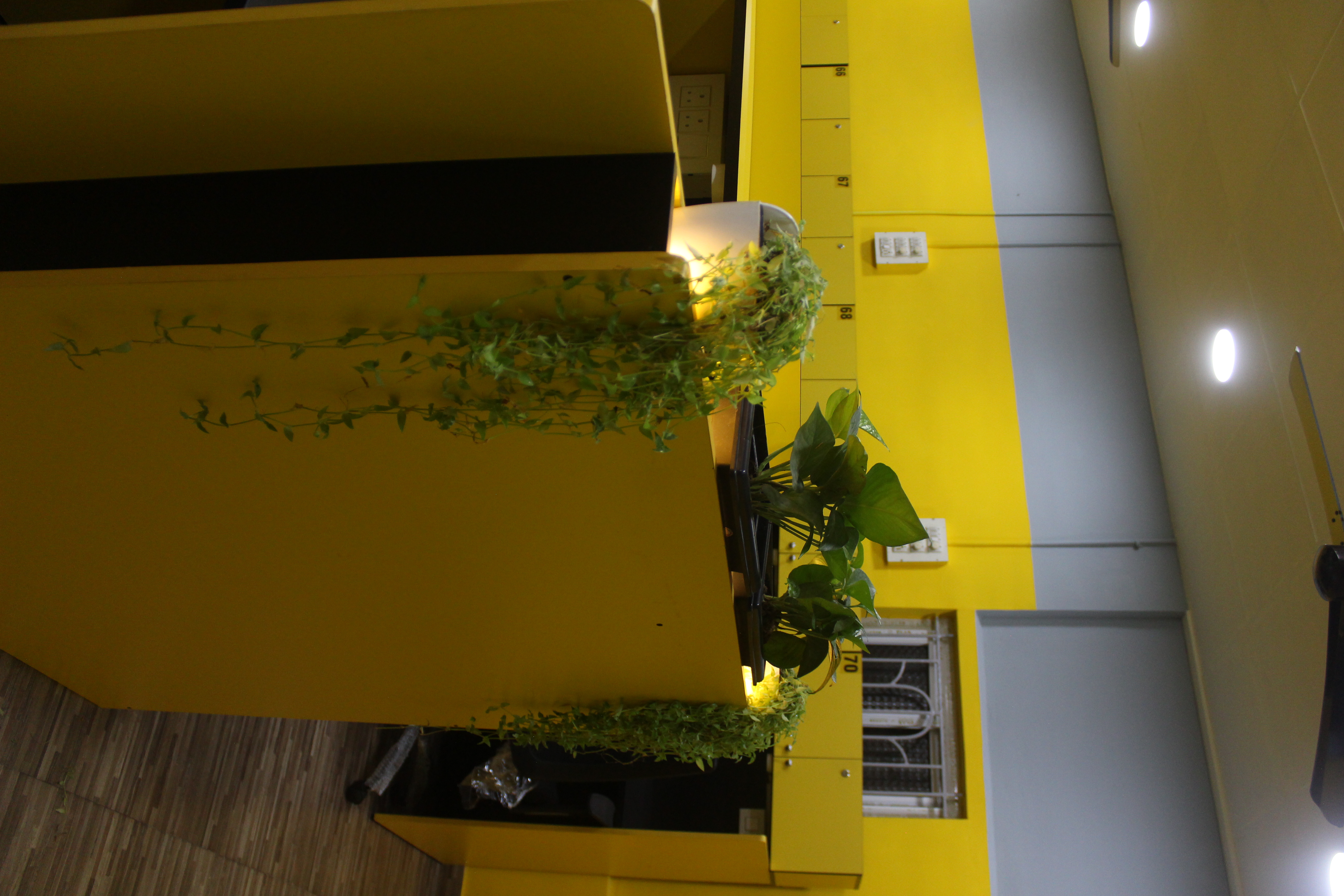 Study cabins at Perfect Study Space